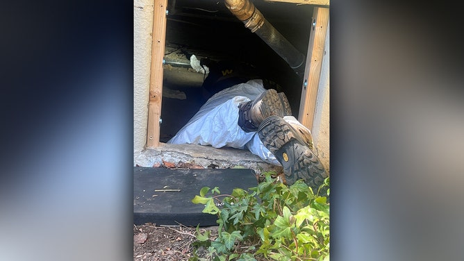 The Eaton Fire in Southern California forced evacuations, and when residents returned, one family discovered a 525-pound bear had taken refuge beneath their home.
