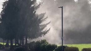 Watch: Pollen flies from trees as warm temps trigger allergy woes