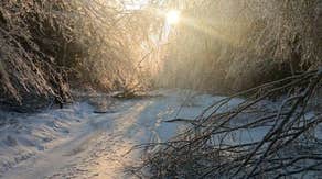 Michigan state parks close as over 32,000 still without power after historic ice storm